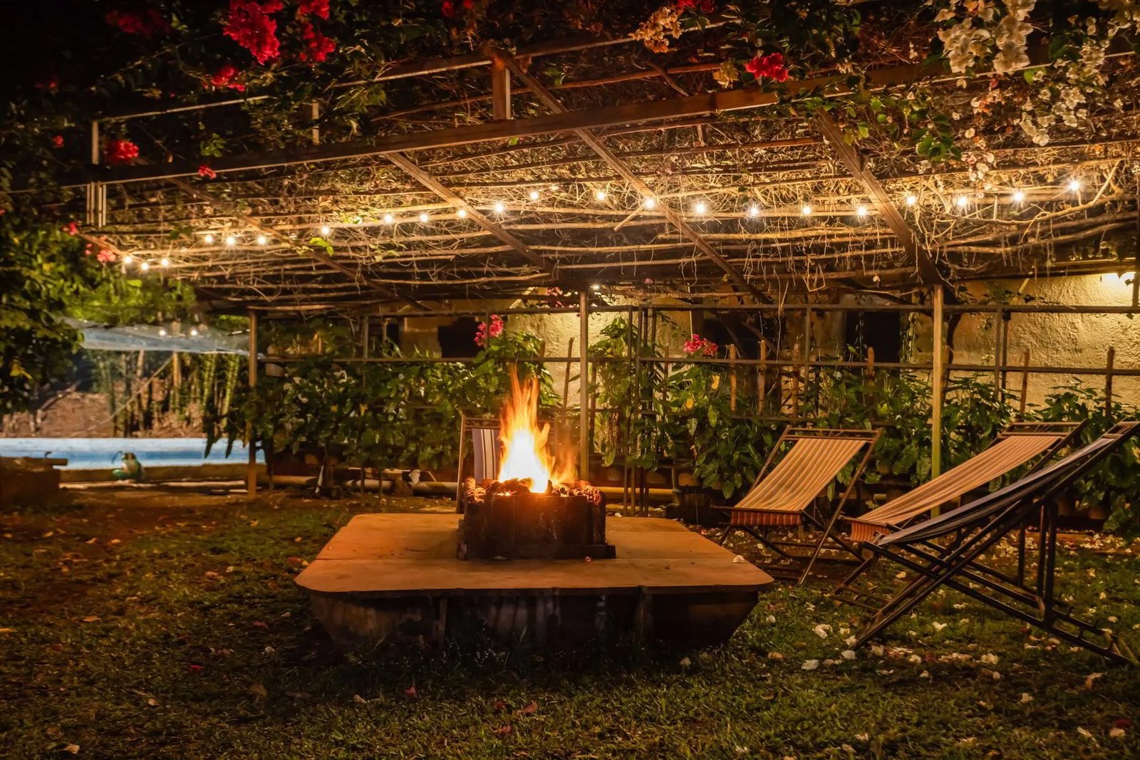 Mangaal Farmstay Image 10